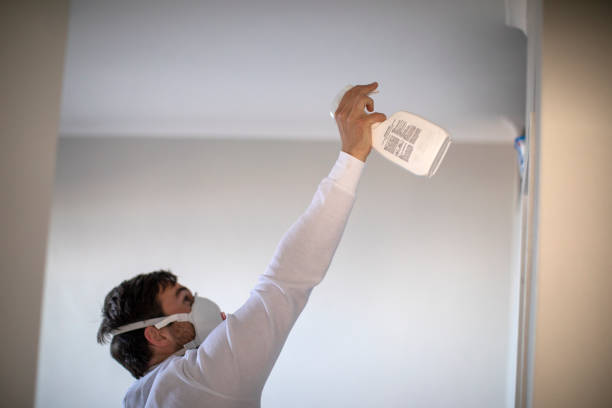 Best Same-Day Mold Removal  in Mount Hermon, VA