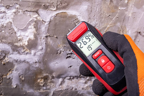 Best Commercial Mold Removal  in Mount Hermon, VA
