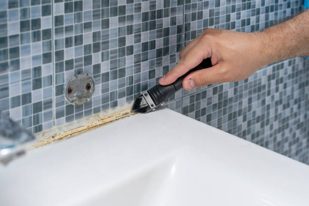 Best Best Mold Removal Companies  in Mount Hermon, VA